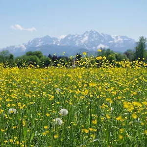 Hostal Sishaus - View At Mozarts Austria